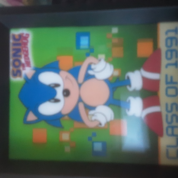 Sonic - Picture 3 of 4